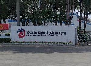 安琪酵母携手成都豪利777官网，开启超纯水质新篇章